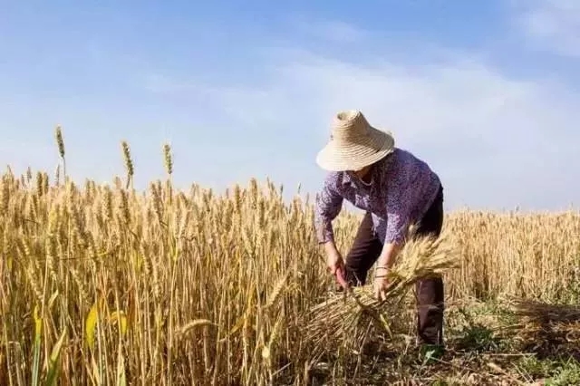 银河app手机版下载APP下载-银河app手机版下载2026最新版