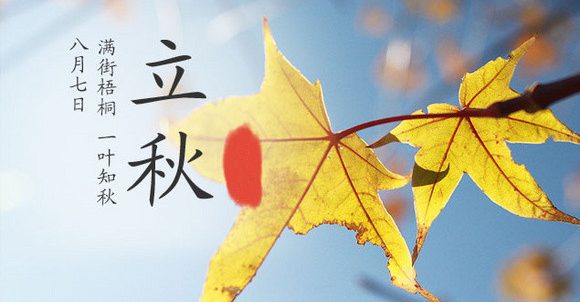 银河app手机版下载APP下载-银河app手机版下载2026最新版