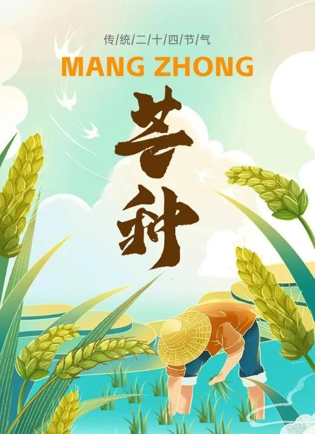 银河app手机版下载APP下载-银河app手机版下载2026最新版